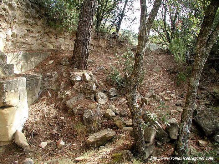 INTERIOR DEL TEMPLO HACIA EL ÁBSIDE, EN EL QUE CRECEN ÁRBOLES